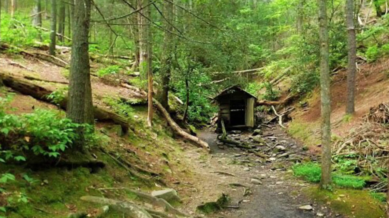 Woodland trail at Reynolds Nature Preserve in Morrow, Georgia